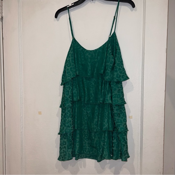 Show Me Your Mumu Leopard Ruffle Dress - Picture 3 of 3